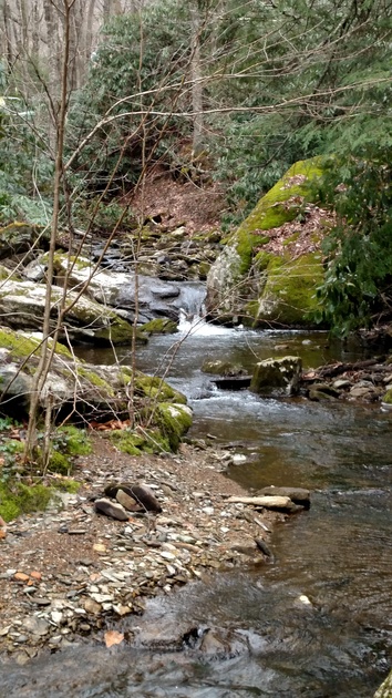 Watuga River Source