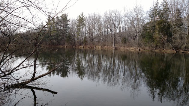 A view of the pond.